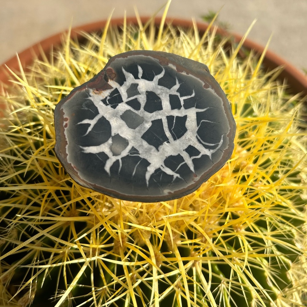 Septarian from Peru geode